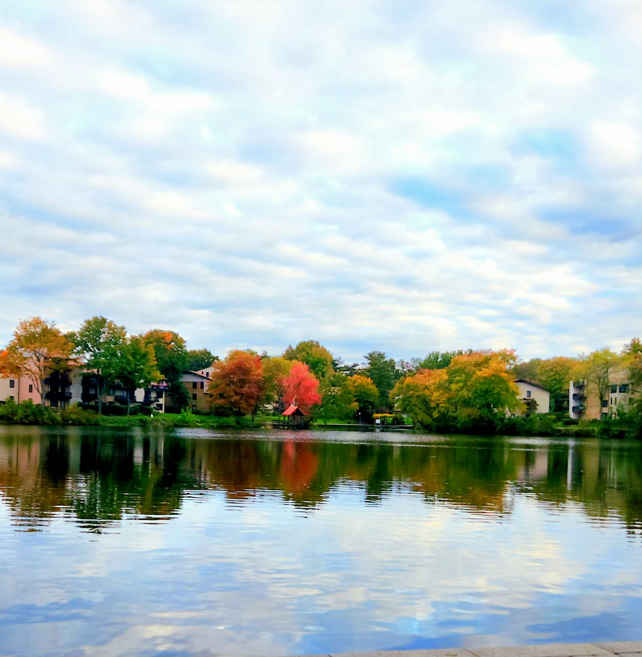 Neighborhood morning